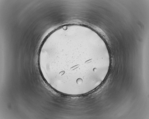 X0000111631326200908281126