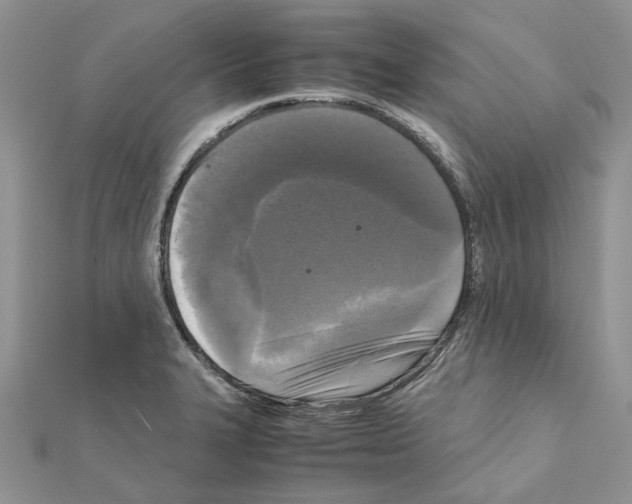 X0000111631327200908281126