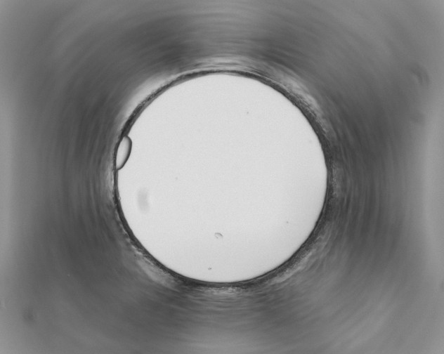 X0000111631328200908281126