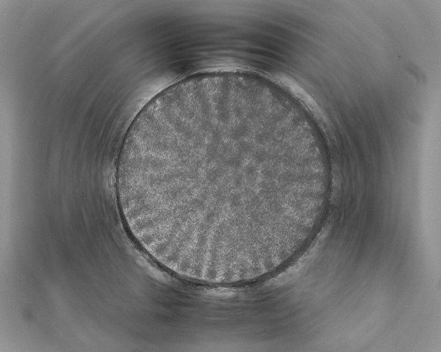 X0000111631329200908281126