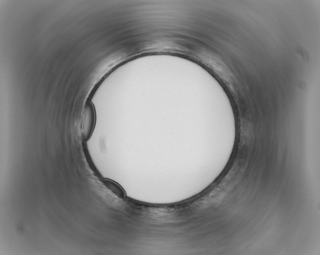 X0000111631330200908281126