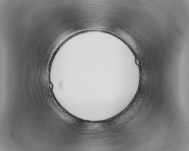 X0000111631332200908281126