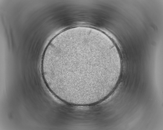 X0000111631333200908281126