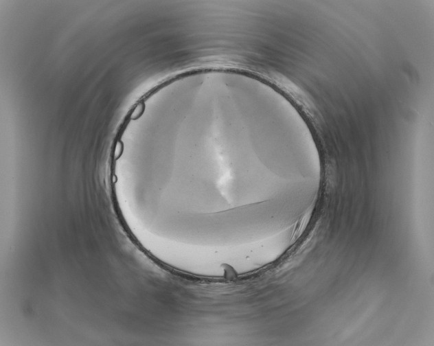 X0000111631334200908281126