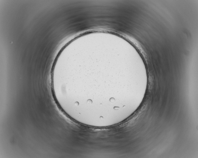 X0000111631335200908281126