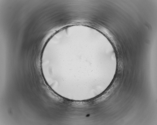 X0000111631336200908281126