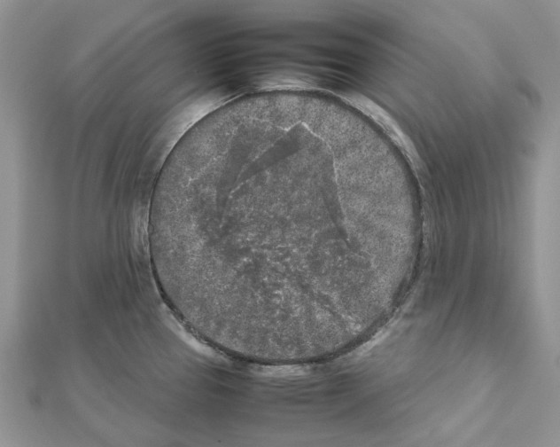 X0000111631337200908281126