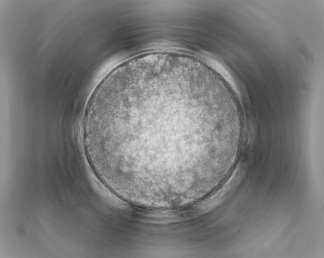 X0000111631338200908281126