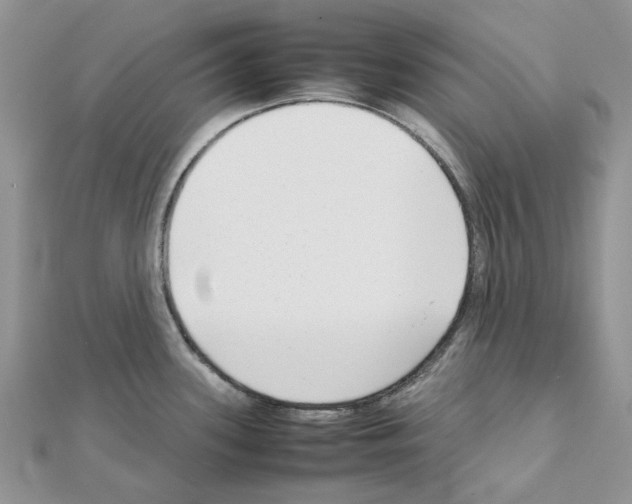 X0000111631339200908281126