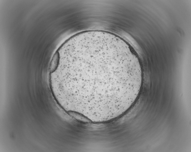 X0000111631340200908281126