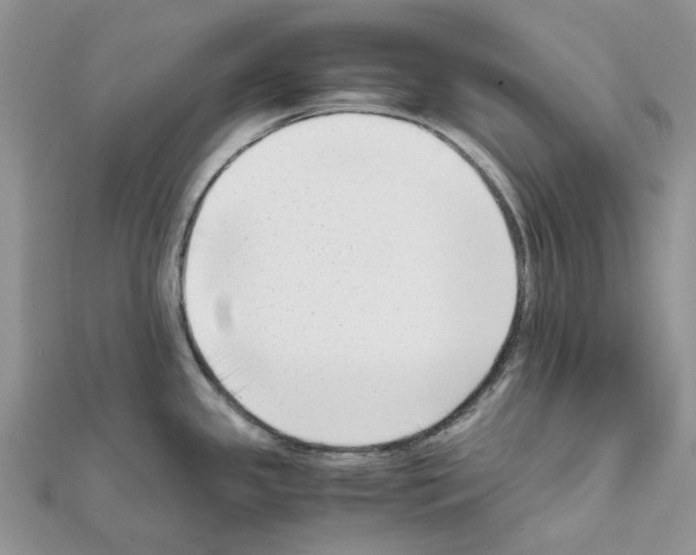 X0000111631341200908281126