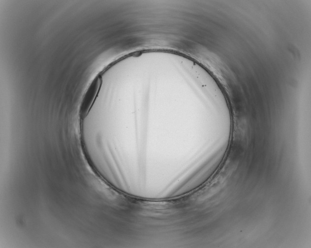 X0000111631342200908281126