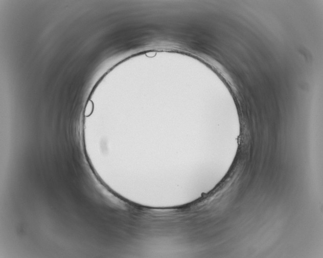 X0000111631343200908281126
