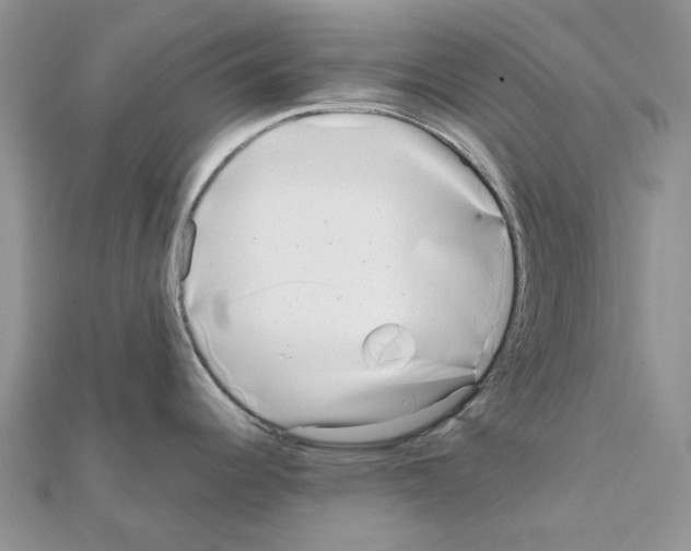 X0000111631344200908281126