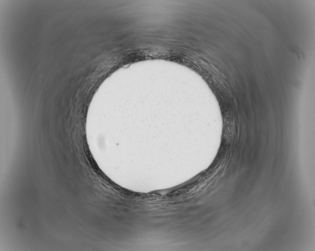 X0000111631345200908281125