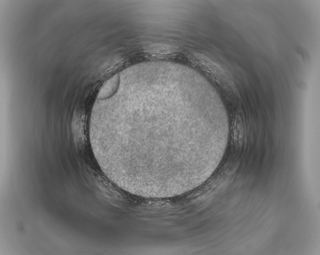 X0000111631346200908281125