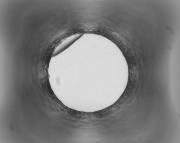 X0000111631349200908281125