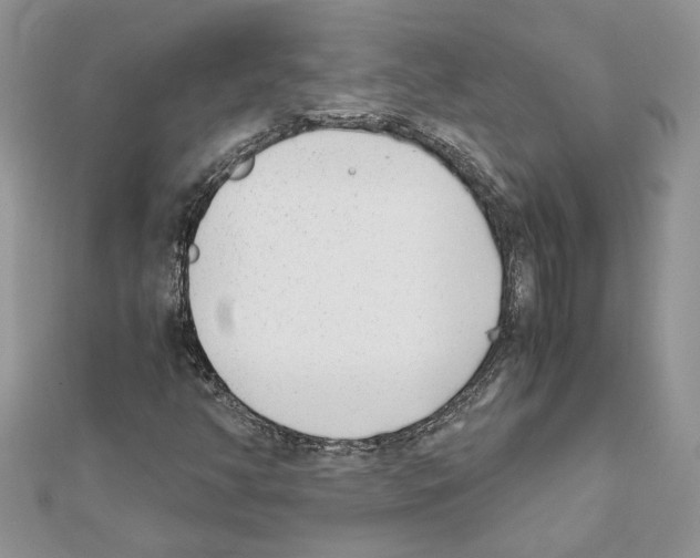 X0000111631350200908281125