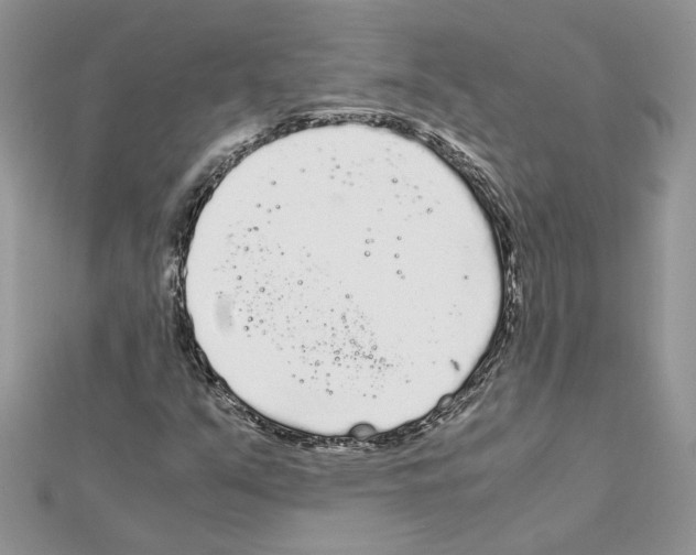X0000111631351200908281125