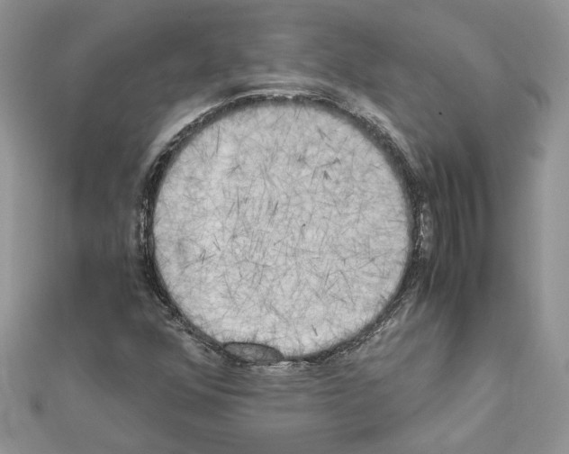 X0000111631352200908281125