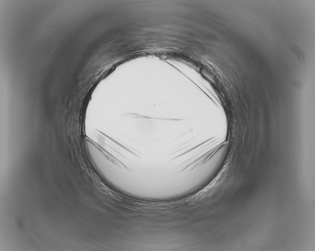 X0000111631353200908281125