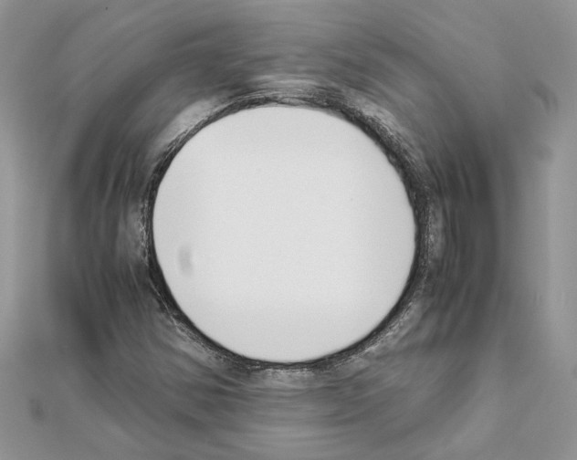 X0000111631354200908281125