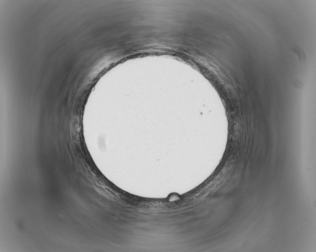 X0000111631355200908281125