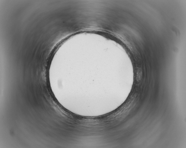 X0000111631356200908281125