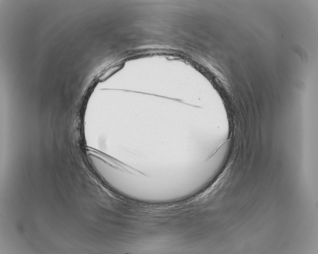 X0000111631357200908281125