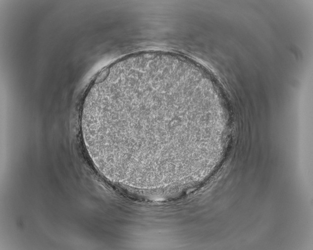 X0000111631359200908281125