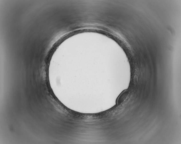X0000111631360200908281125