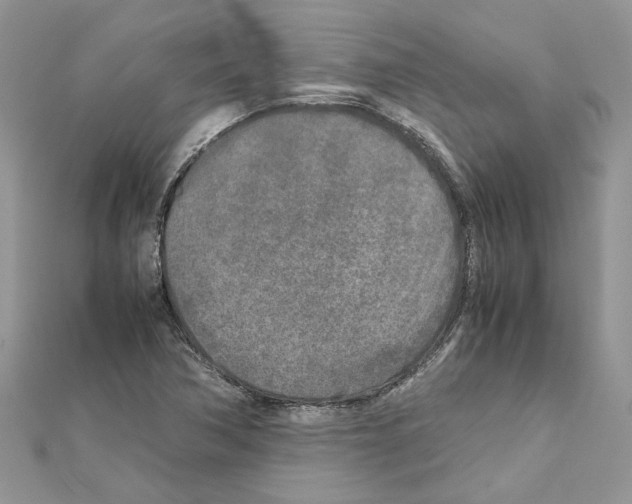 X0000111631362200908281125