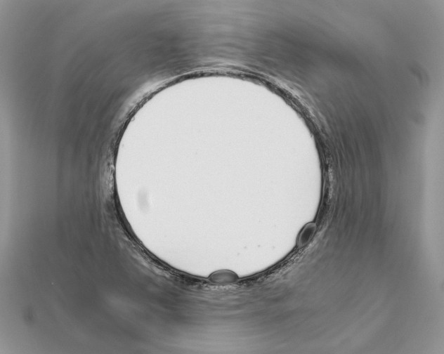 X0000111631363200908281125