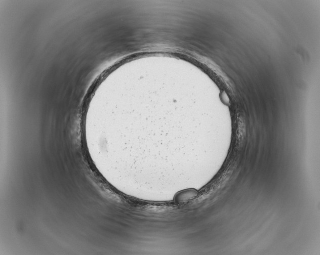 X0000111631364200908281125