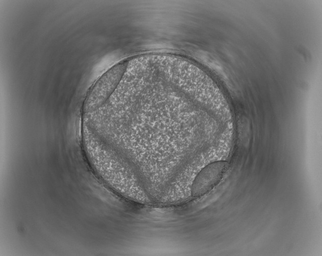 X0000111631365200908281125