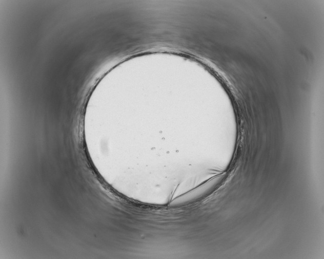 X0000111631367200908281125