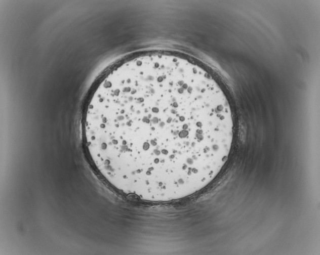 X0000111631368200908281125