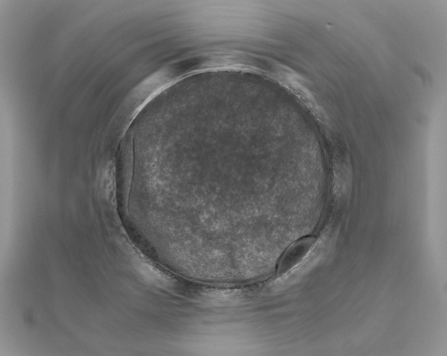 X0000111631369200908281125