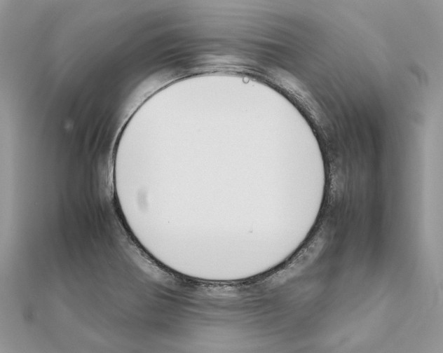 X0000111631370200908281125
