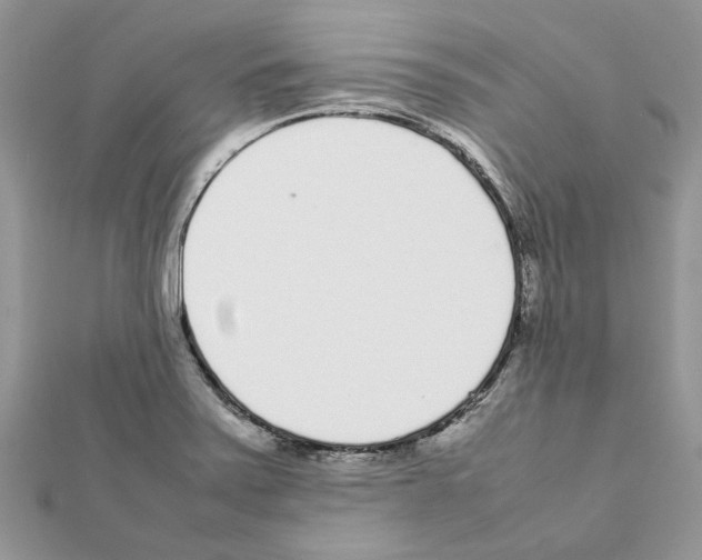X0000111631371200908281125