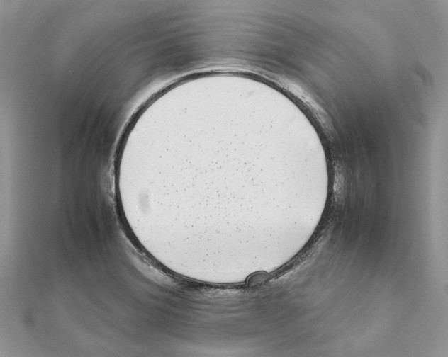 X0000111631372200908281125