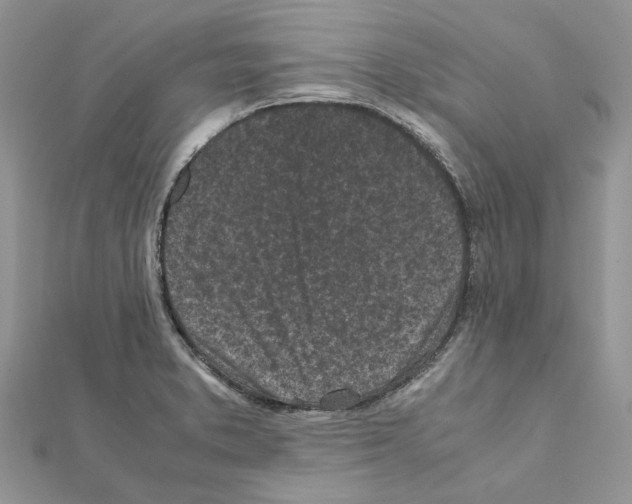 X0000111631373200908281125