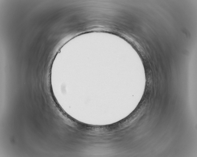 X0000111631375200908281125