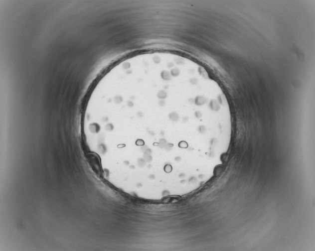 X0000111631376200908281125