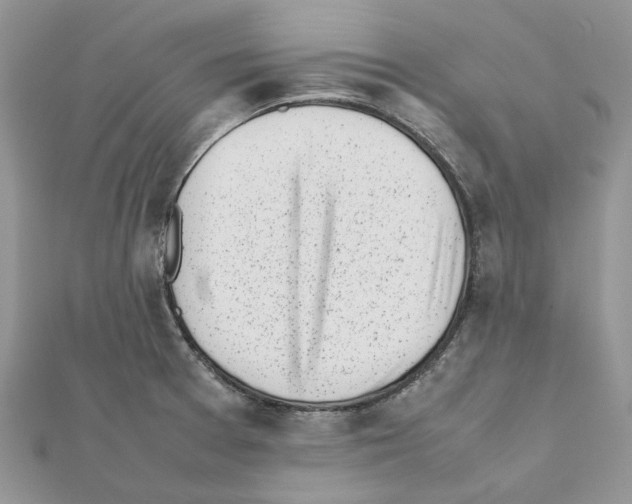 X0000111631377200908281125