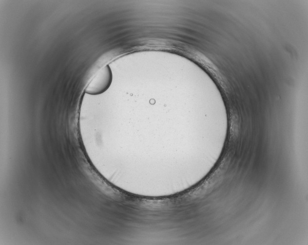 X0000111631378200908281125