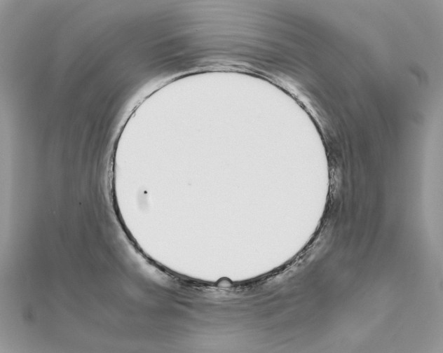 X0000111631379200908281125