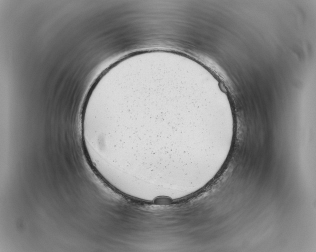 X0000111631380200908281125