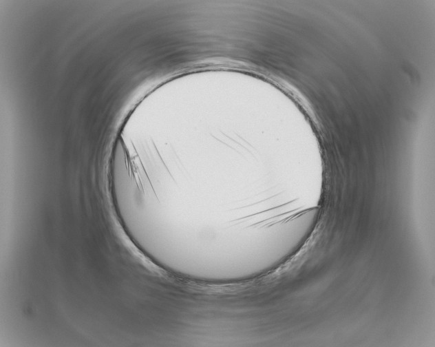 X0000111631381200908281125