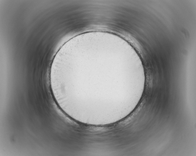 X0000111631382200908281125